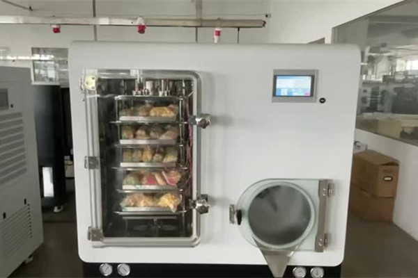 SCIENTZ-50F定制型冷冻干燥机食品冻干测试实拍