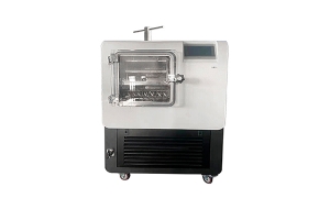 压盖型冷冻干燥机SCIENTZ-20F/B