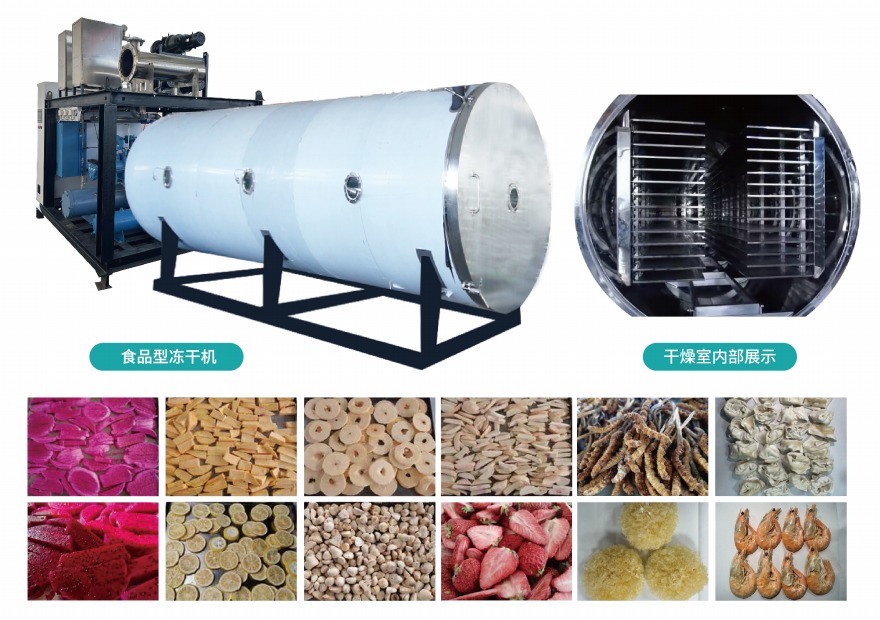 食品型冷冻干燥机SCIENTZ-SG