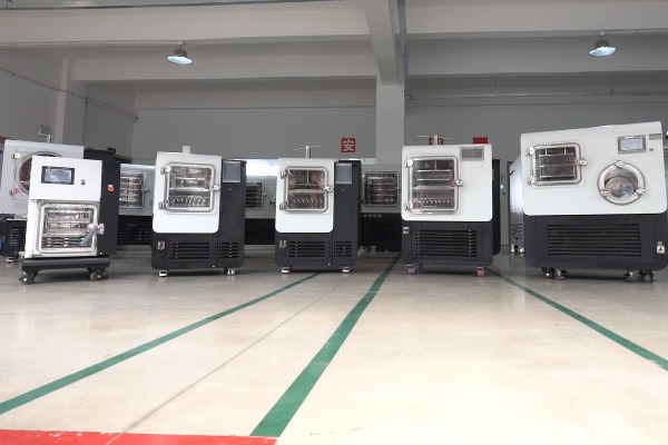 实验室真空冷冻干燥机