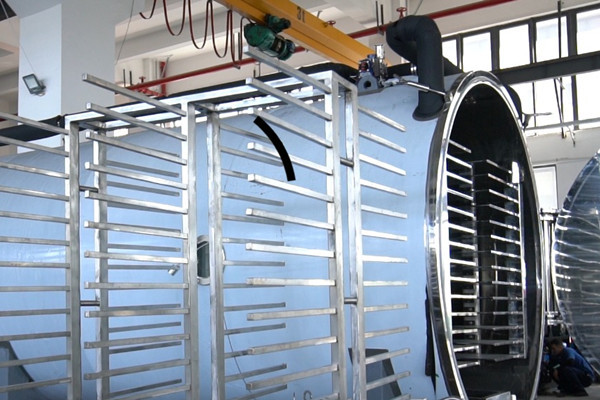 大型、中型与小型真空冻干设备的核心技术差异及应用场景解析