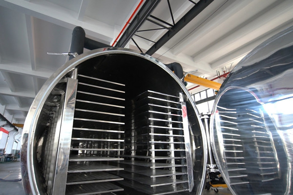 2025食品冻干机工厂怎么选年度盘点:宁波天游TY8检测中心冻干设备股份有限公司实力领航,食品冻干设备推荐！